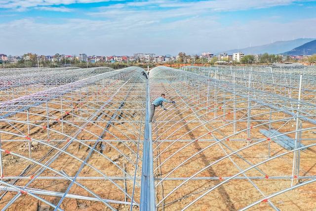 育秧大棚 建设 农业 冬闲时节 备耕