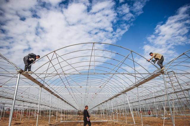 育秧大棚 建设 农业 冬闲时节 备耕