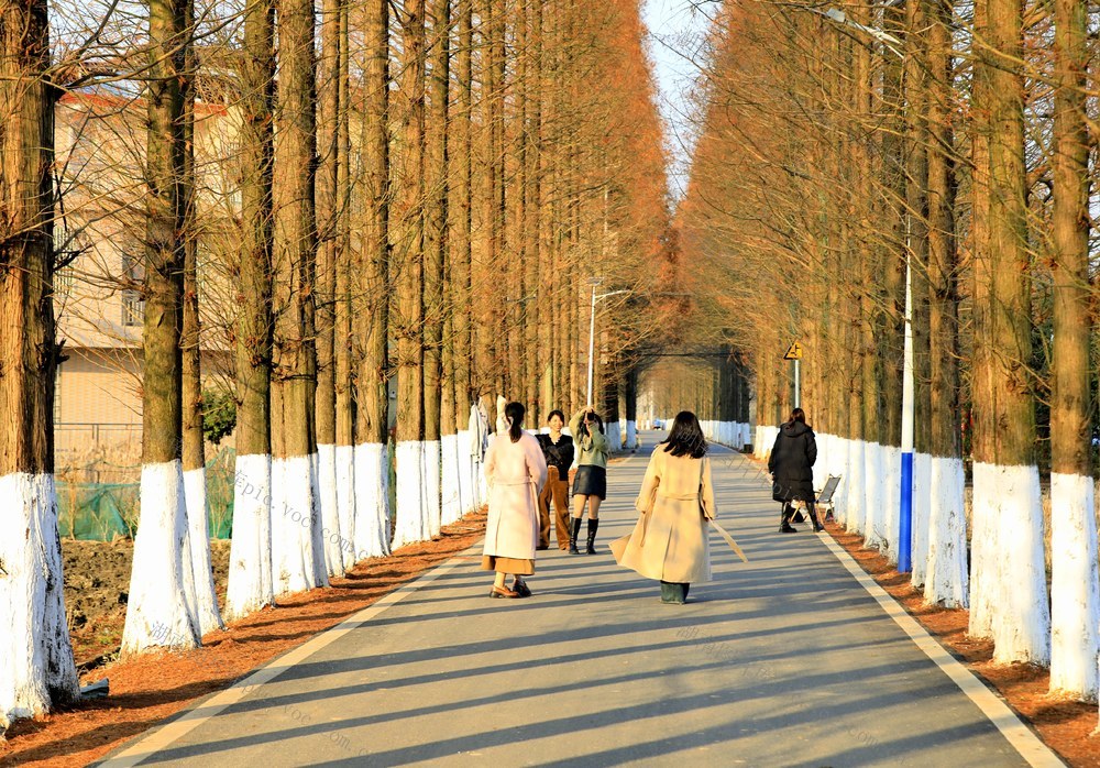 湖南  常宁  乡村  美景