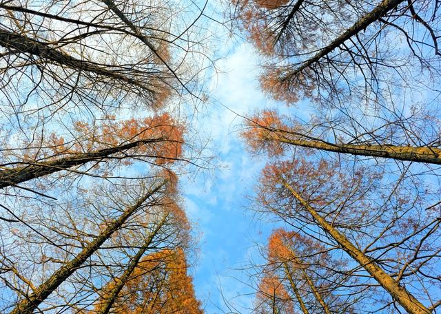 湖南  常宁  乡村  美景