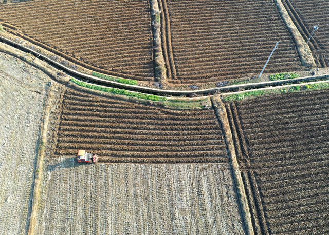 冬耕  冬种  农事  生产  冬闲  时节  三农  农田  冬田