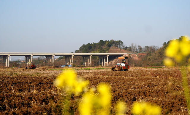 冬耕  冬种  农事  生产  冬闲  时节  三农  农田  冬田