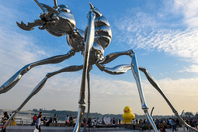 深圳湾  大黄鸭