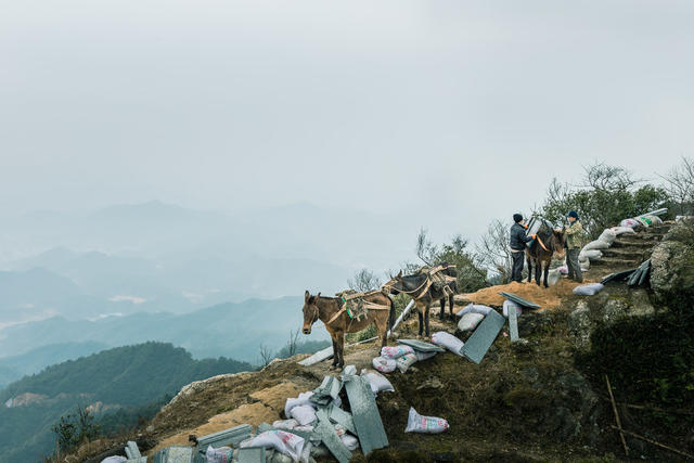 运输  骡马  马帮  高山  建材  步道  中秋  辛苦