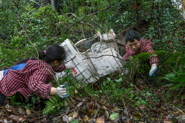 运输  骡马  马帮  高山  建材  步道  中秋  辛苦