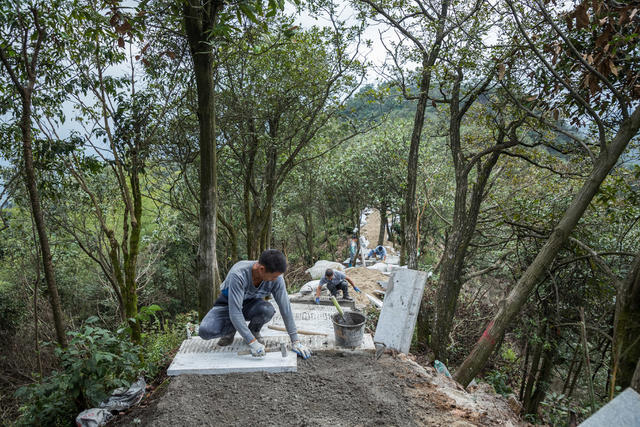 运输  骡马  马帮  高山  建材  步道  中秋  辛苦