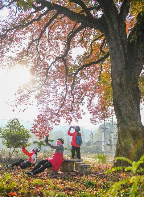 乡村振兴 道县 农村 人居环境