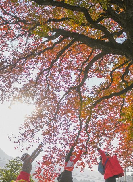 乡村振兴 道县 农村 人居环境