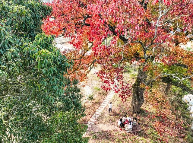 乡村振兴 道县 农村 人居环境
