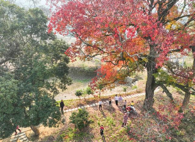 乡村振兴 道县 农村 人居环境