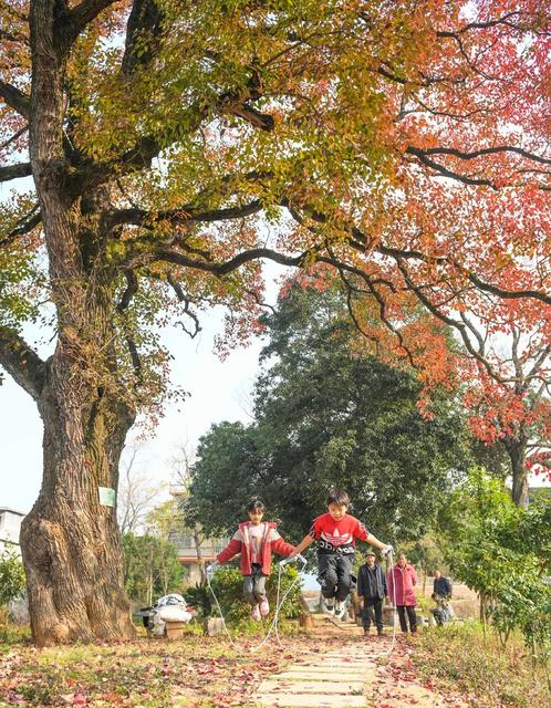 乡村振兴 道县 农村 人居环境
