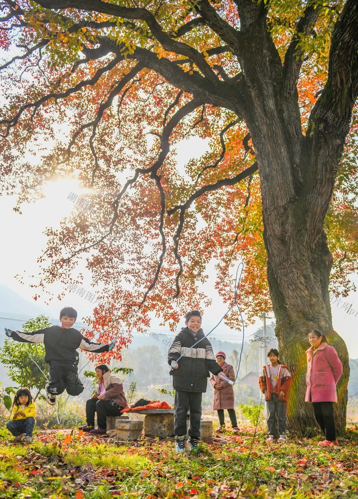 乡村振兴 道县 农村 人居环境