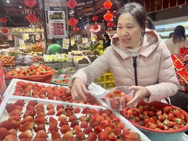草莓芬芳新年红
