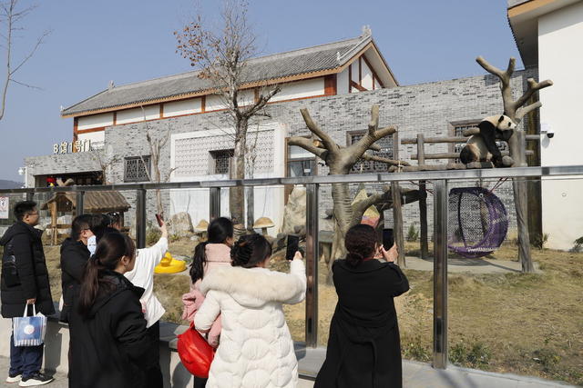 凤凰、熊猫、旅游