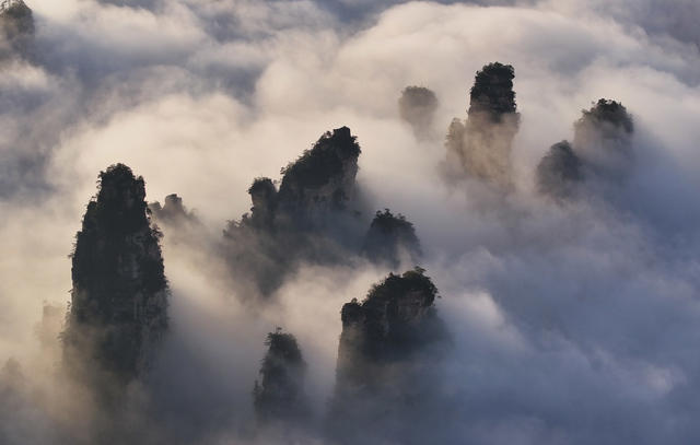 张家界 天子山 云海 
