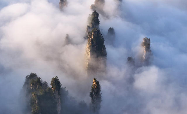 张家界 天子山 云海 