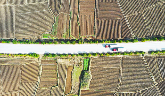 田园  翻耕  阡陌  画卷