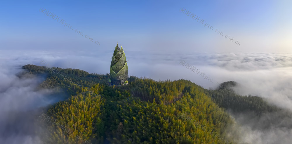 竹海 桃花江竹海 竹林 竹笋 桃江 风景 标志性建筑