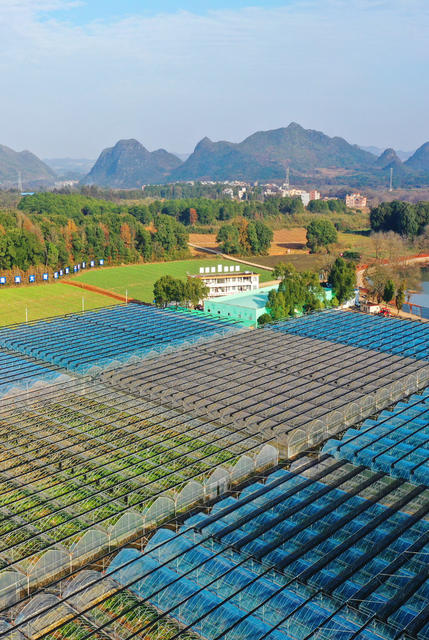 湖南嘉禾：现代农业  助力发展