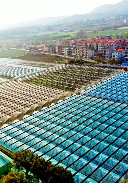 湖南嘉禾：现代农业  助力发展