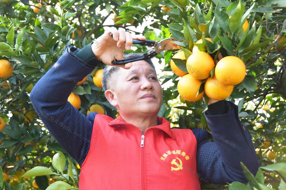 党员服务  一线助农