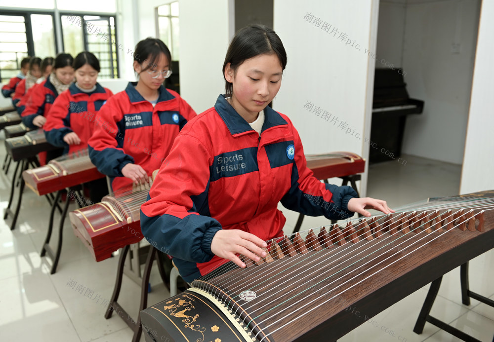 民族乐器 传统文化 教育 学生 学校 古筝 传承 传统乐器 