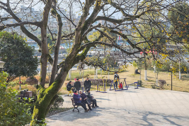 公园 绿地 生态 园林 休闲 游园