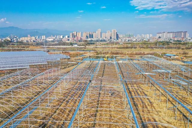 大棚 农业 粮食 育秧工厂 建设