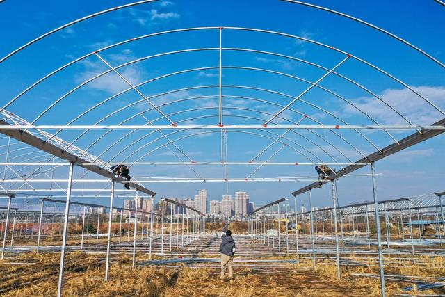 大棚 农业 粮食 育秧工厂 建设