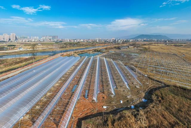 大棚 农业 粮食 育秧工厂 建设