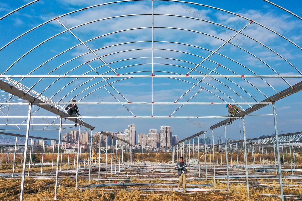 大棚 农业 粮食 育秧工厂 建设