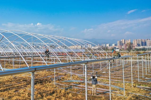 大棚 农业 粮食 育秧工厂 建设