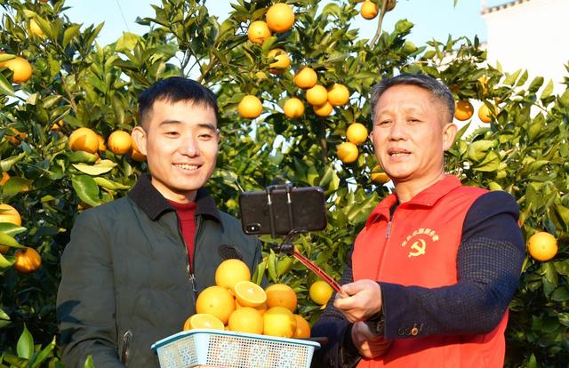  发展“村播”  农民增收