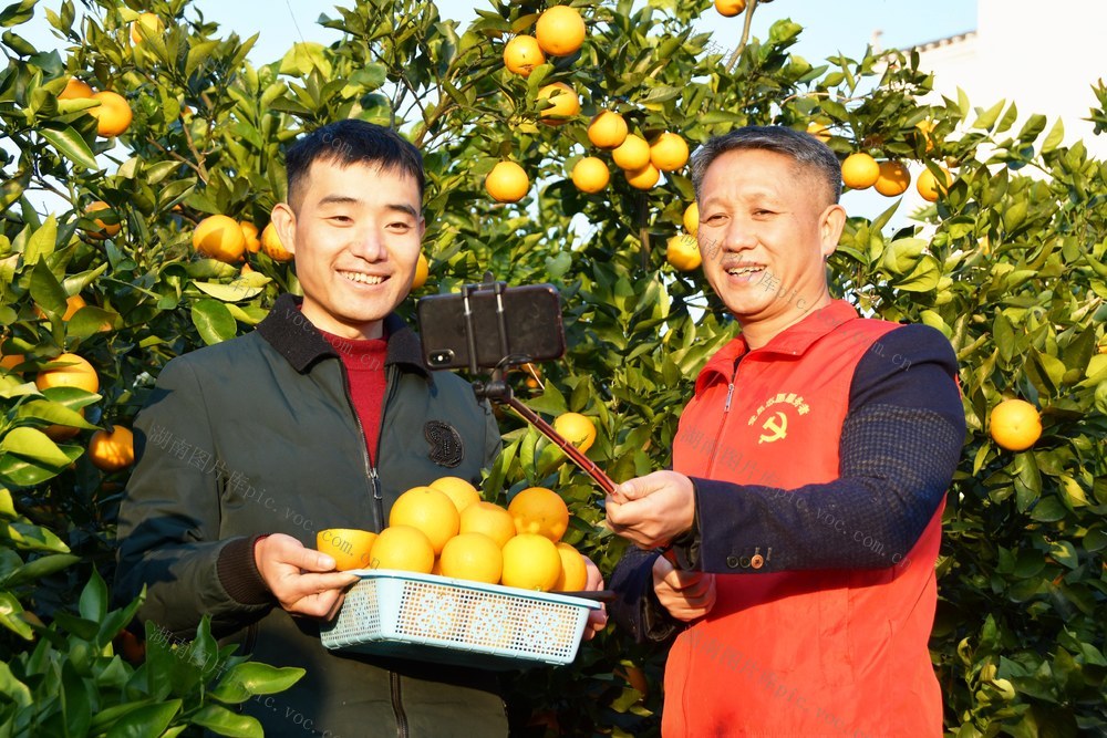  发展“村播”  农民增收