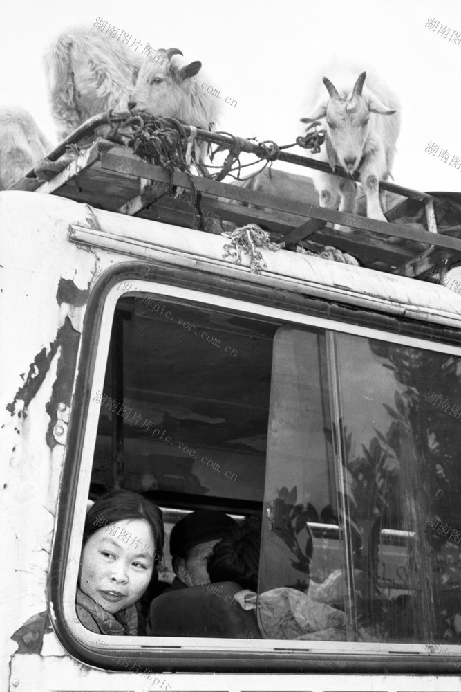  Transportation Historical photos of passengers during the Spring Festival travel Road transport Shipping passengers Security check Changsha Zhuzhou Xiangtan Yongzhou Chenzhou Huaihua Xiangxi Autonomous Prefecture Yueyang Changde