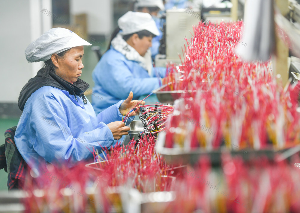 开门红 生产 企业 工业园 道县