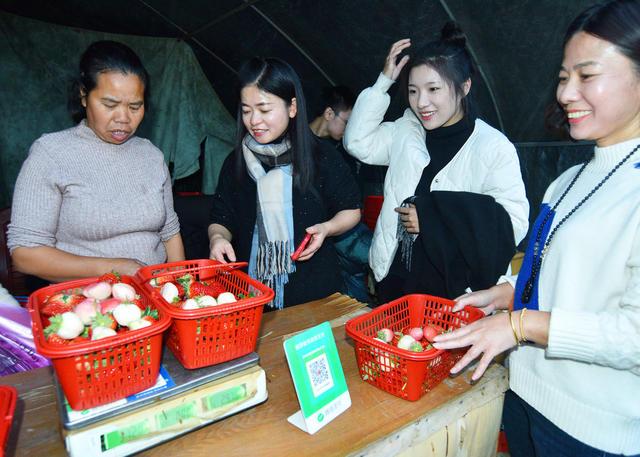 湖南嘉禾：特色农业增收  助力农旅发展