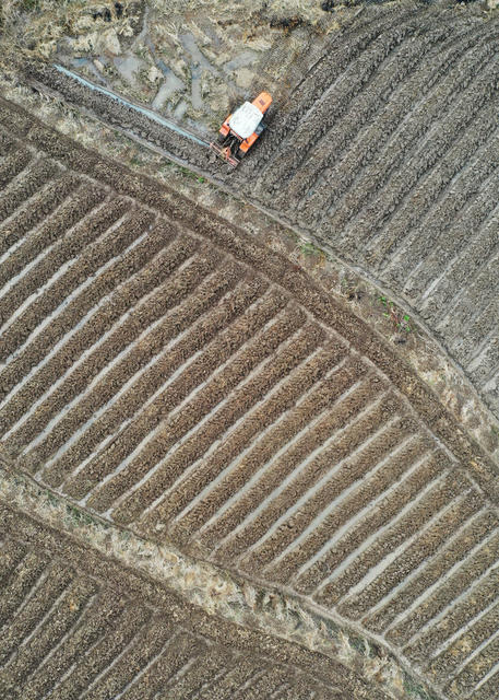 湖南嘉禾：小寒农事忙