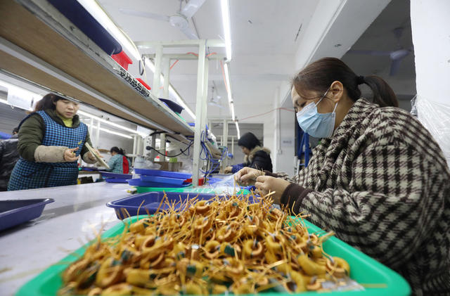 微工厂 就业帮扶车间 家门口就业 助农增收致富 经济发展