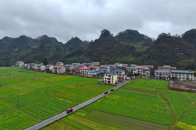 农村、人居环境、环境、冬景、乡村