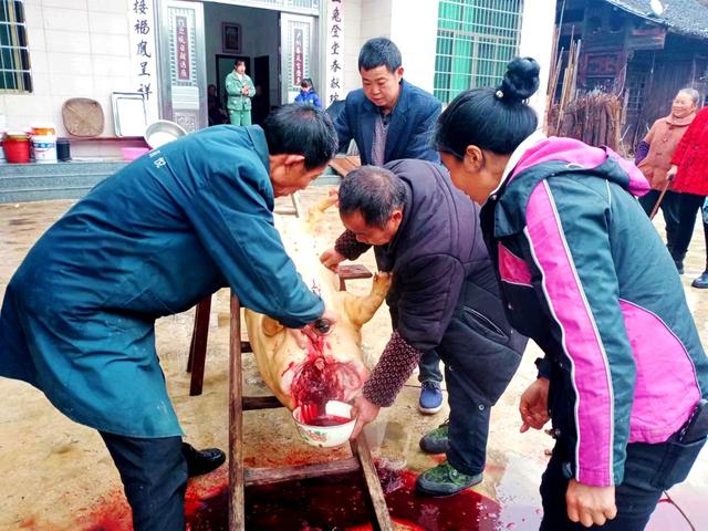 年关 年猪 氛围