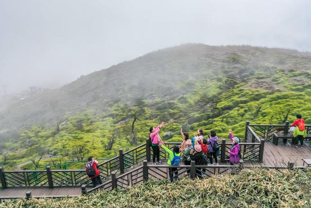 生态 旅游 游客 景区 自然 风景