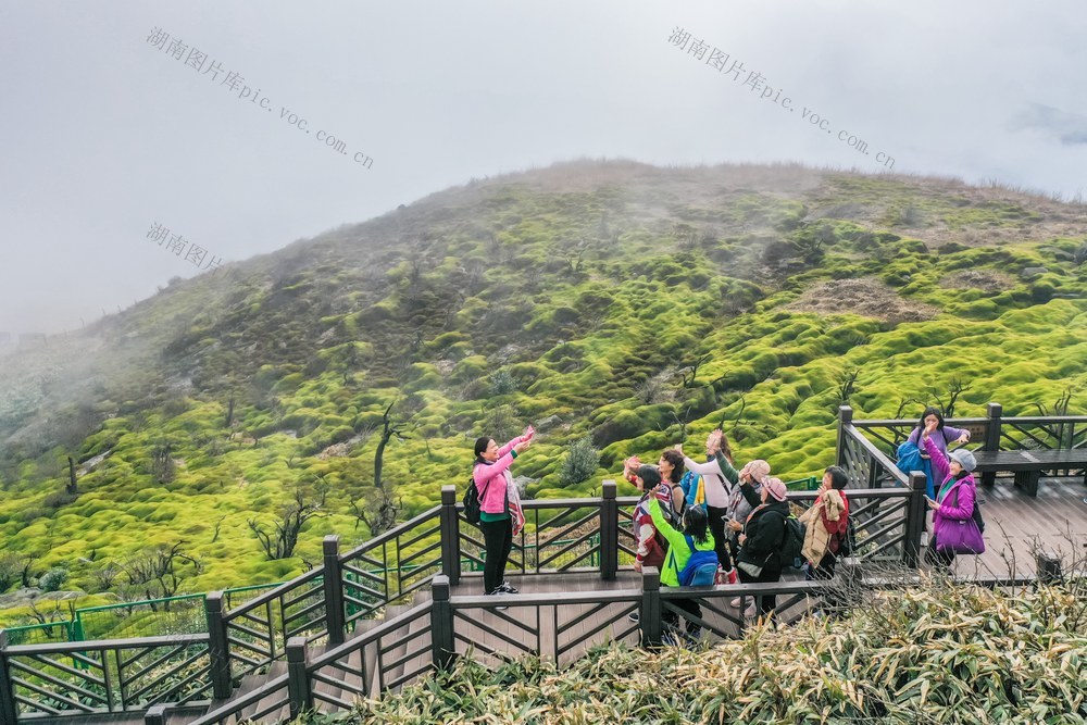 生态 旅游 游客 景区 自然 风景