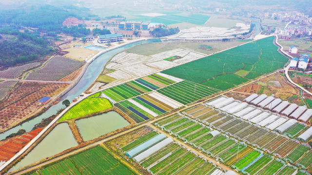 田园  蔬菜  冬闲田  多彩