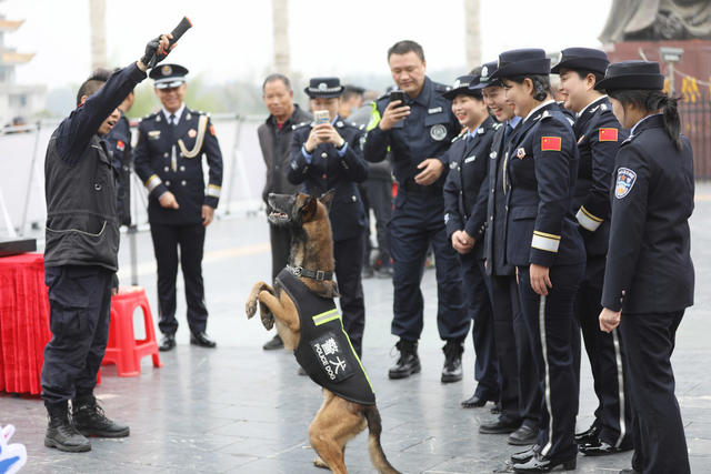 110，警察节，活动