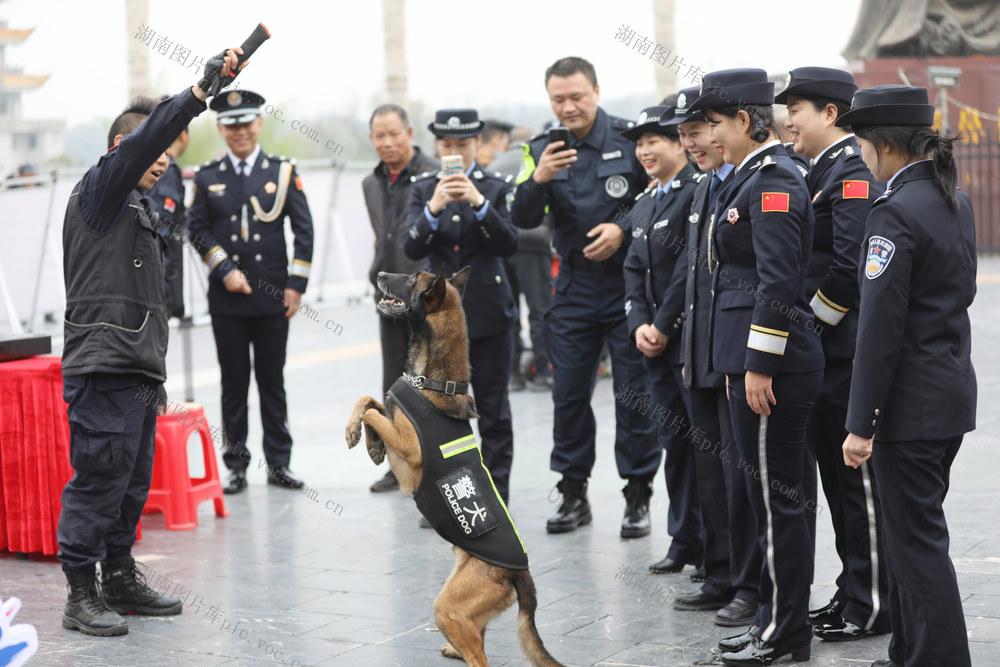 110，警察节，活动