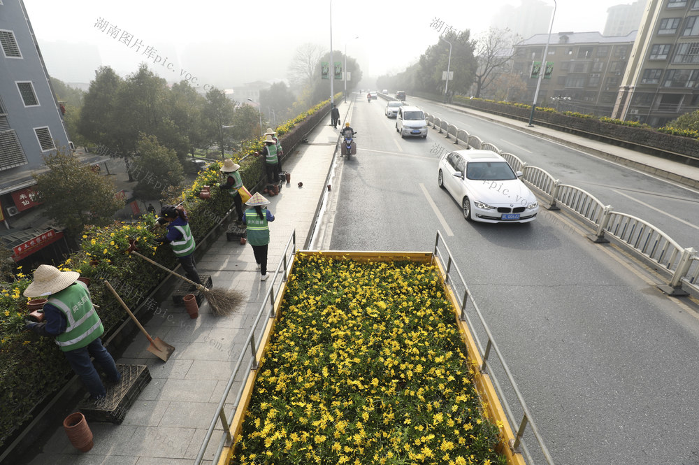 新春将至 扮靓城市 城市颜值 欢乐喜庆 节日氛围