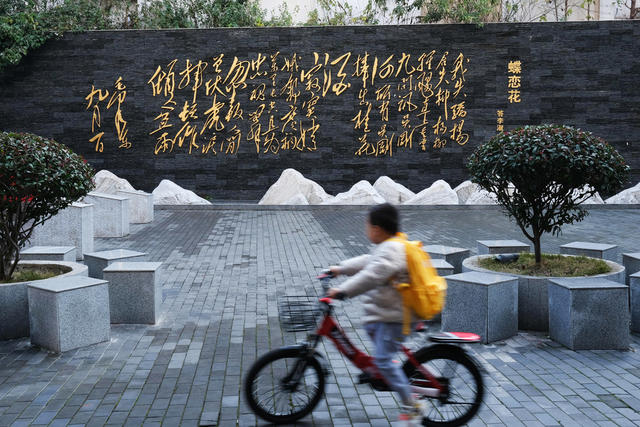 骄杨精神，骄杨广场，杨开慧
