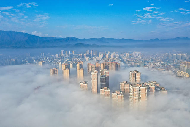 晨雾 云雾 风景 小城  平流雾 云海 气象 仙境 楼宇