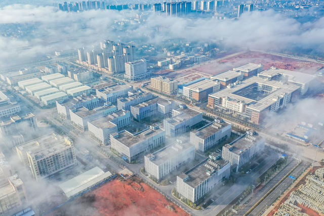 园区 产业集群 产业 建设 经济